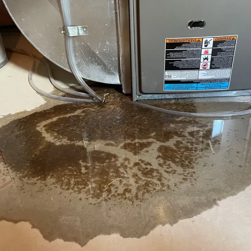 Pipe Burst and Leak Restoration in Summit County, UT
